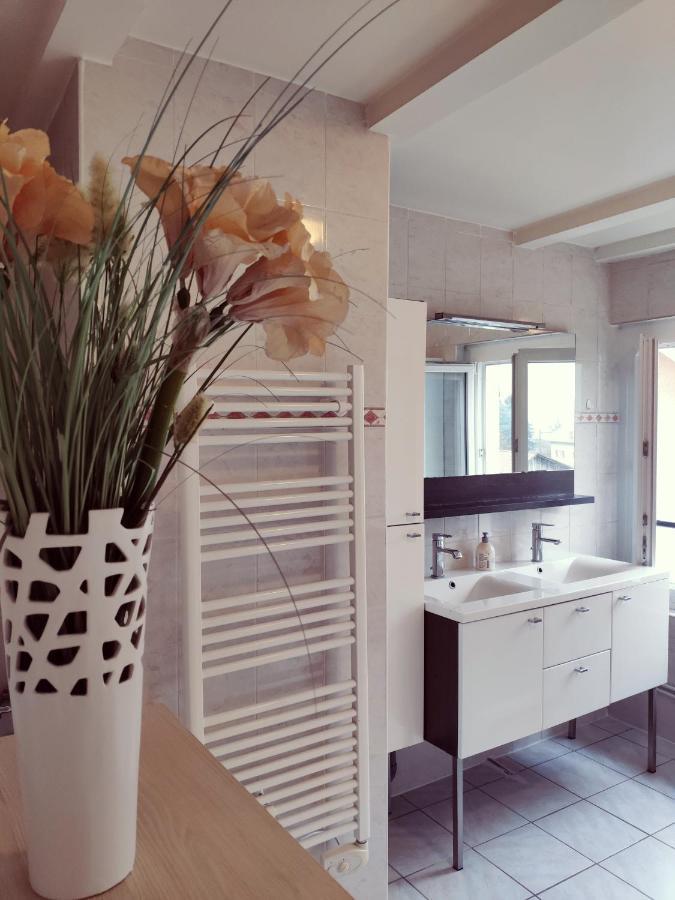 Au Bord Du Foron Apartment Scionzier Екстериор снимка